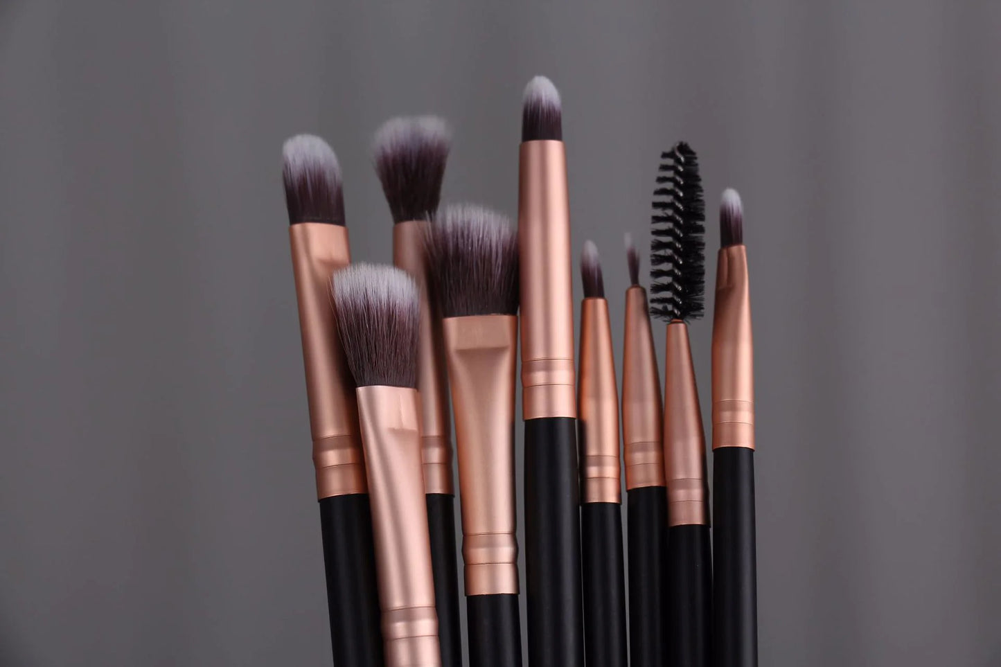 10 piece Makeup Brush Set